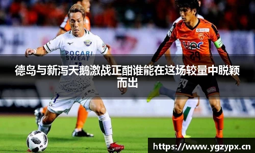 德岛与新泻天鹅激战正酣谁能在这场较量中脱颖而出