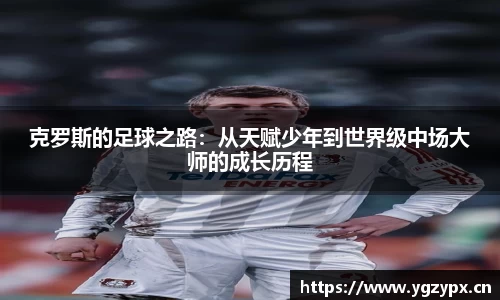 星空体育网站